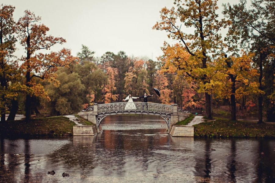 дворцовый парк гатчина фото