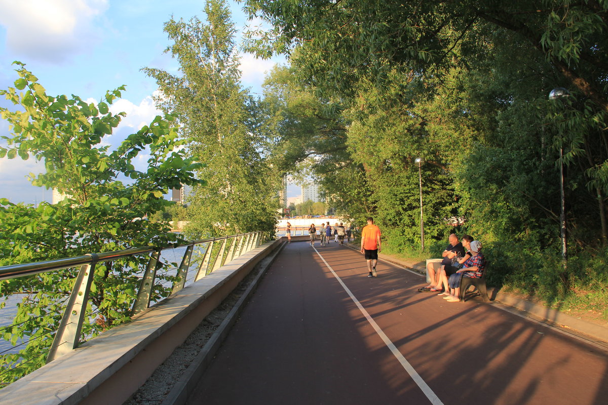 городской парк фото