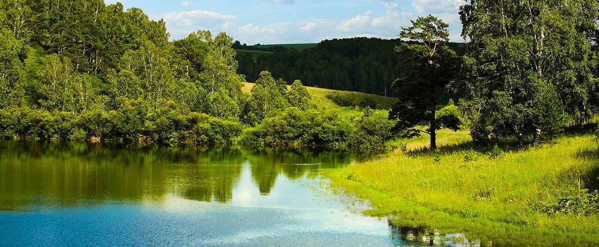 парк долины реки сходни фото