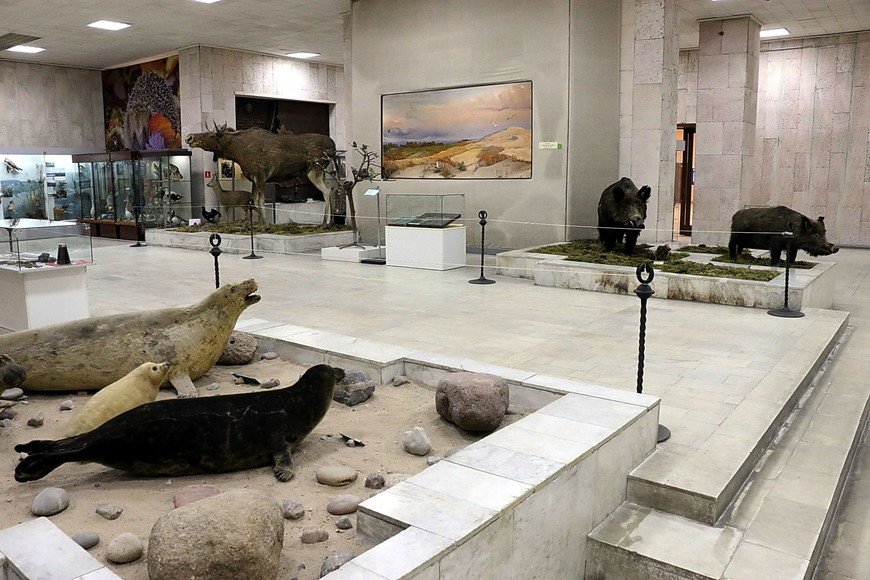 историко художественный музей калининград фото
