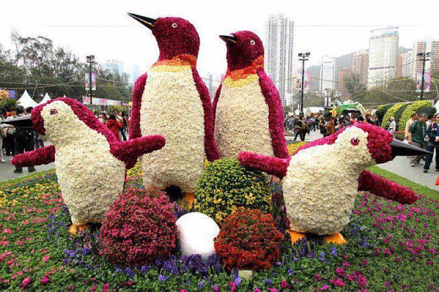 парад цветов bloemencorso bollenstreek фото