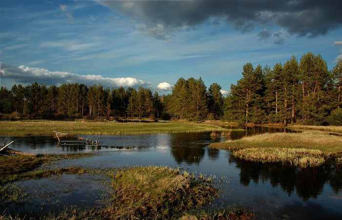 мещёрский национальный парк рязанской фото