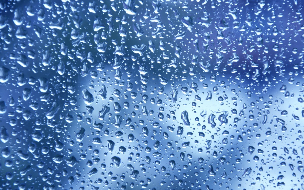 �������� ����� �� ������, ���� ���� ��������