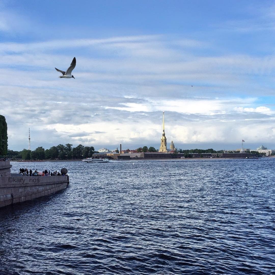 нева в санкт петербурге фото