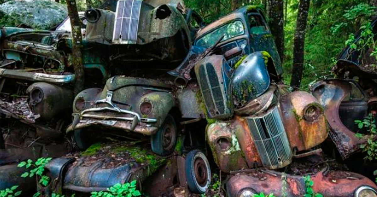 кладбище автомобилей фото