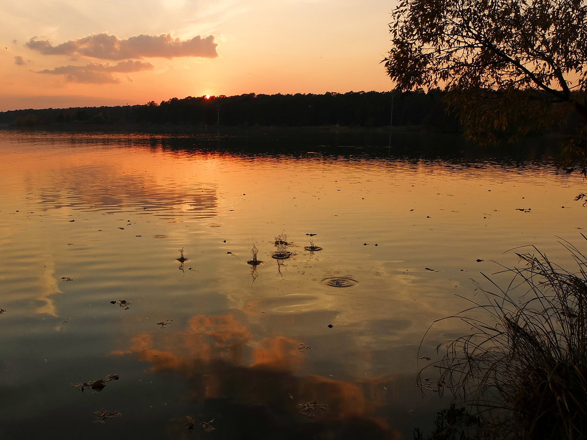 закат на озере фото