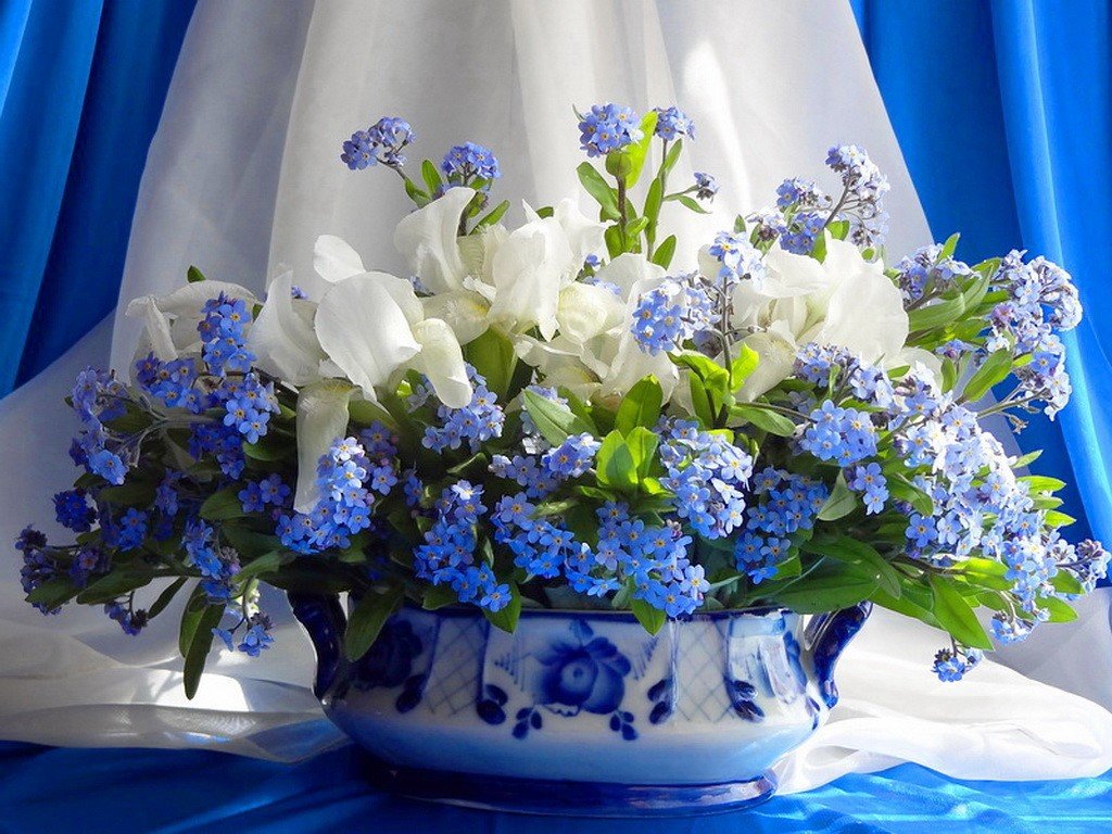 ���, �������� � ���� �������� � �������� �������