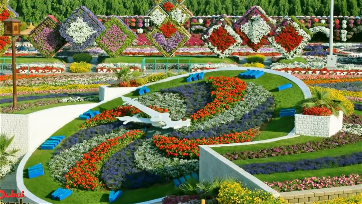 клумбы в москве фото
