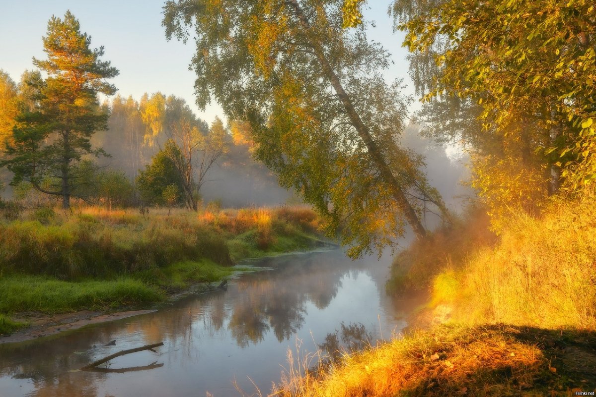 осень река фото