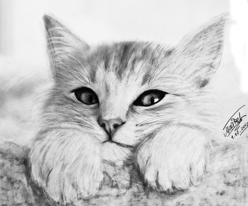 ��������� ����������, �������� ������� ����� �������� ����������