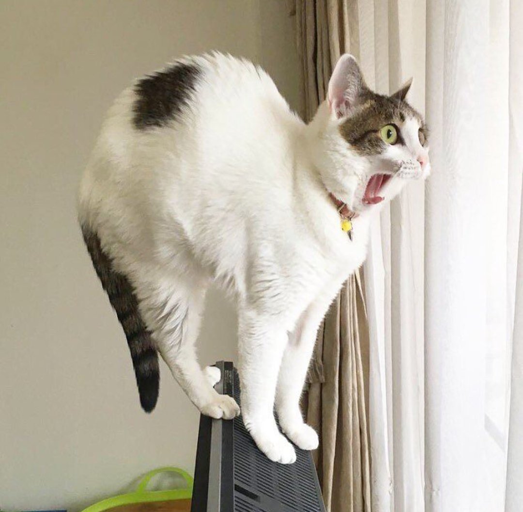 �������� � ��������� ������� �� ���� ����� �����, ����