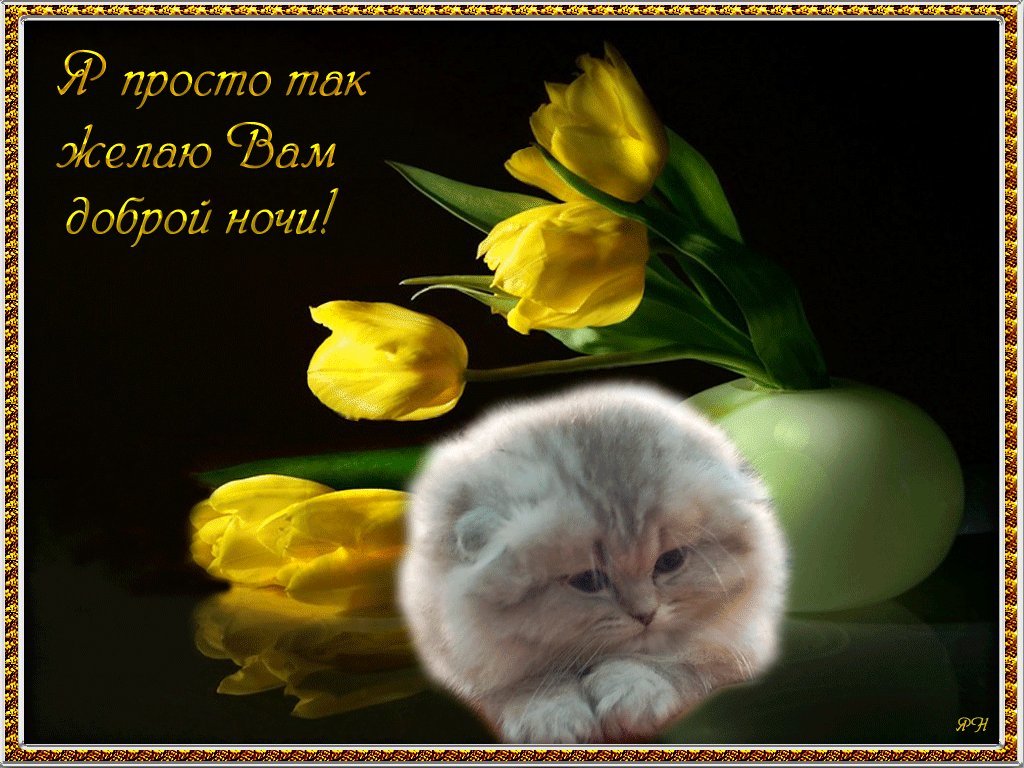 �������� � ����������� ������ ���� ��������