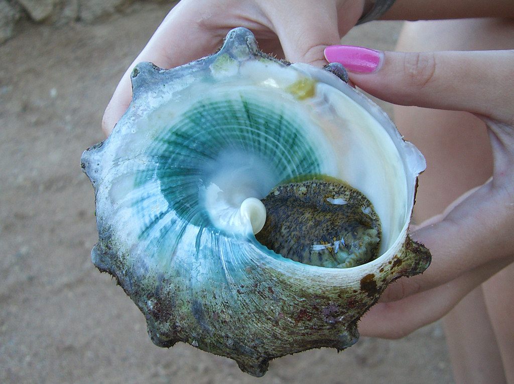 Znalezione obrazy dla zapytania