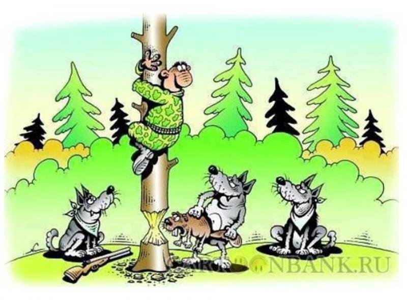 ��������� ��������, ������� ��������� � ���������