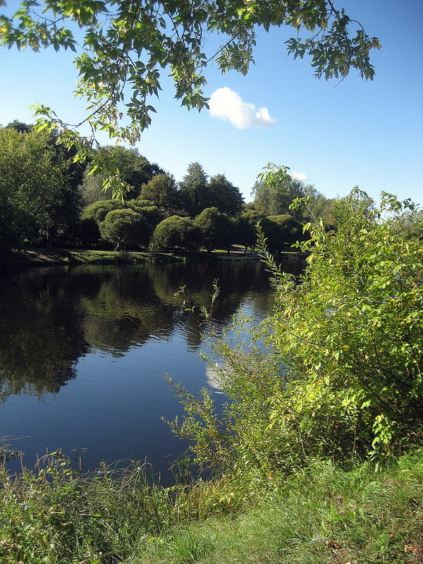 у реки фото