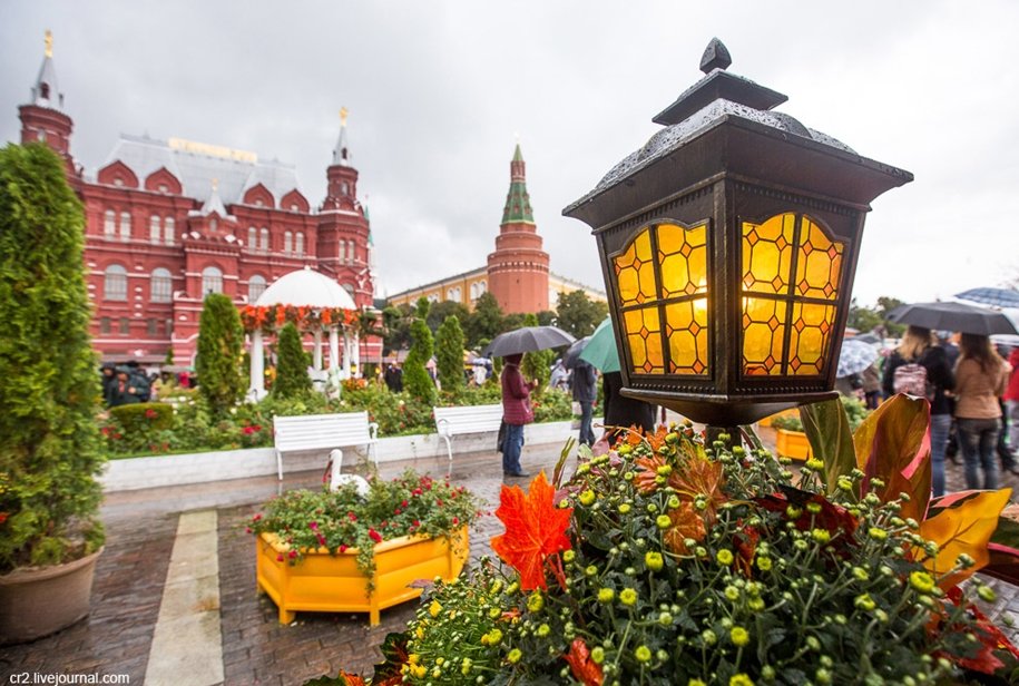 золотая осень в москве фото