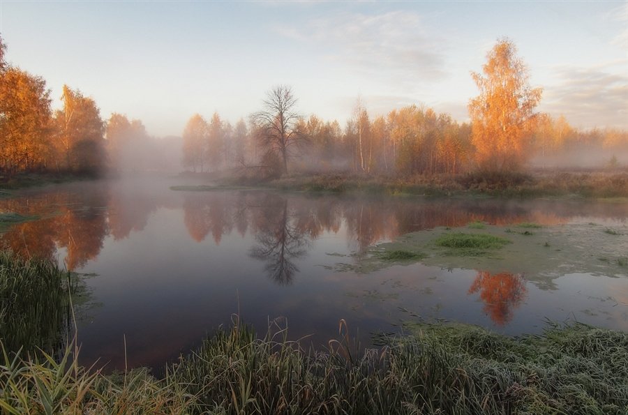осеннее утро на реке фото