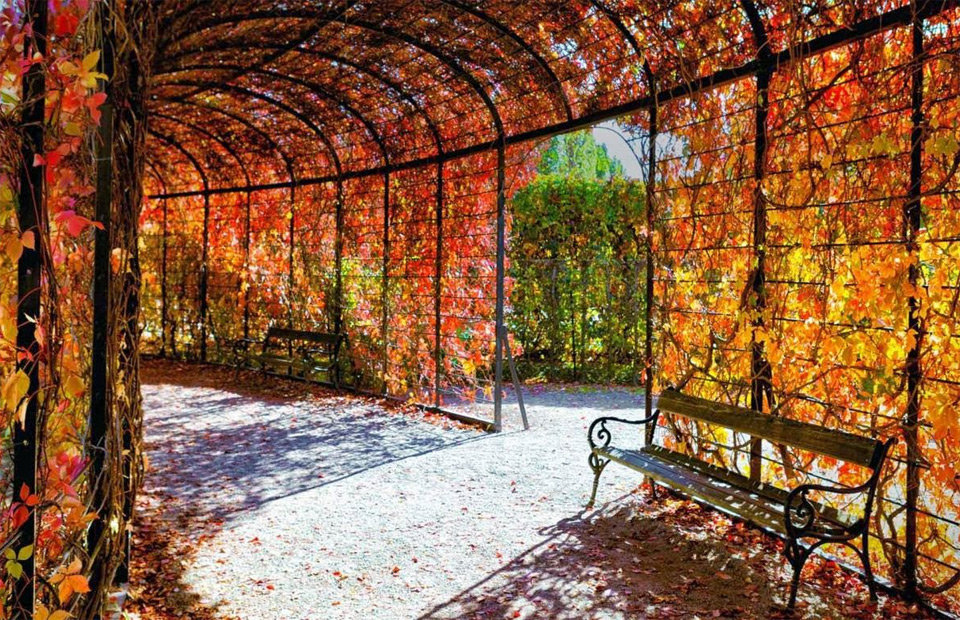 аллея осенью яркое фото