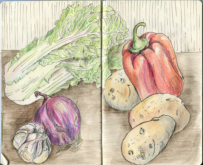 Овощи рисунок карандашом