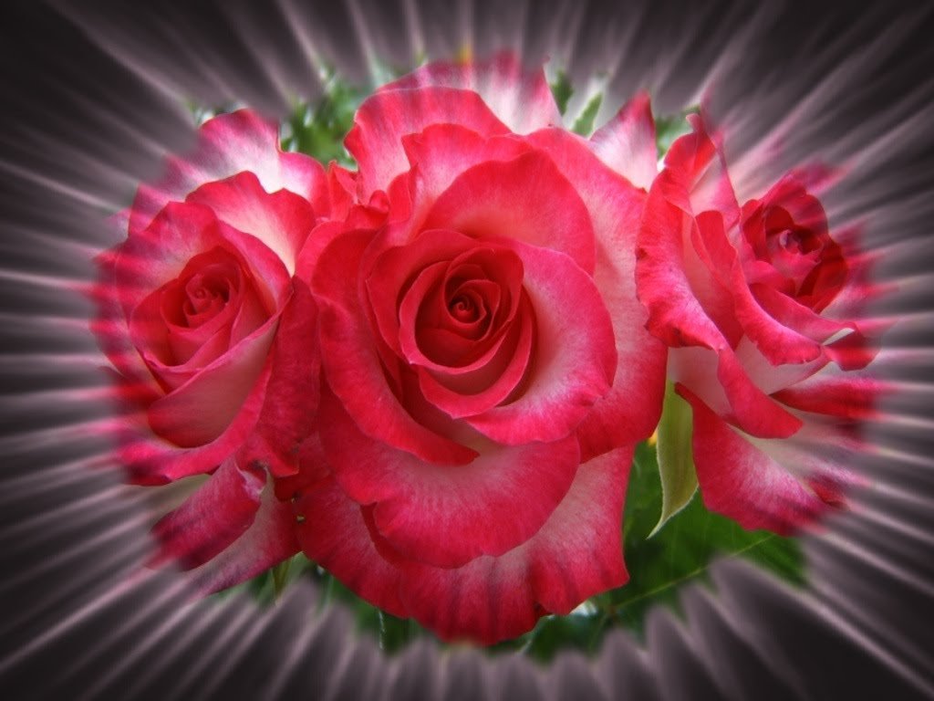 �������� �������� � ������