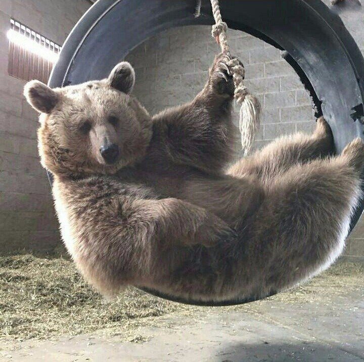 ���� �������, ������� �������� �������� � ���������