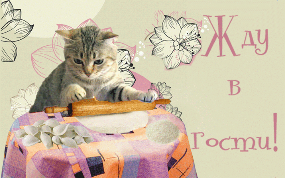 �������� ����������� � ����� � ��������, ���� ��������