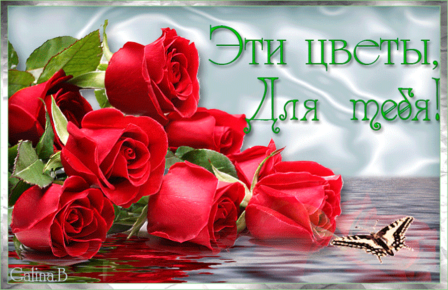 Https Encrypted Tbn0 Gstatic Com Images Q Tbn 3aand9gctb Mvbp1g 3pakatnkl1qpcecucejf1igs8qak30fb0pd2f Ka