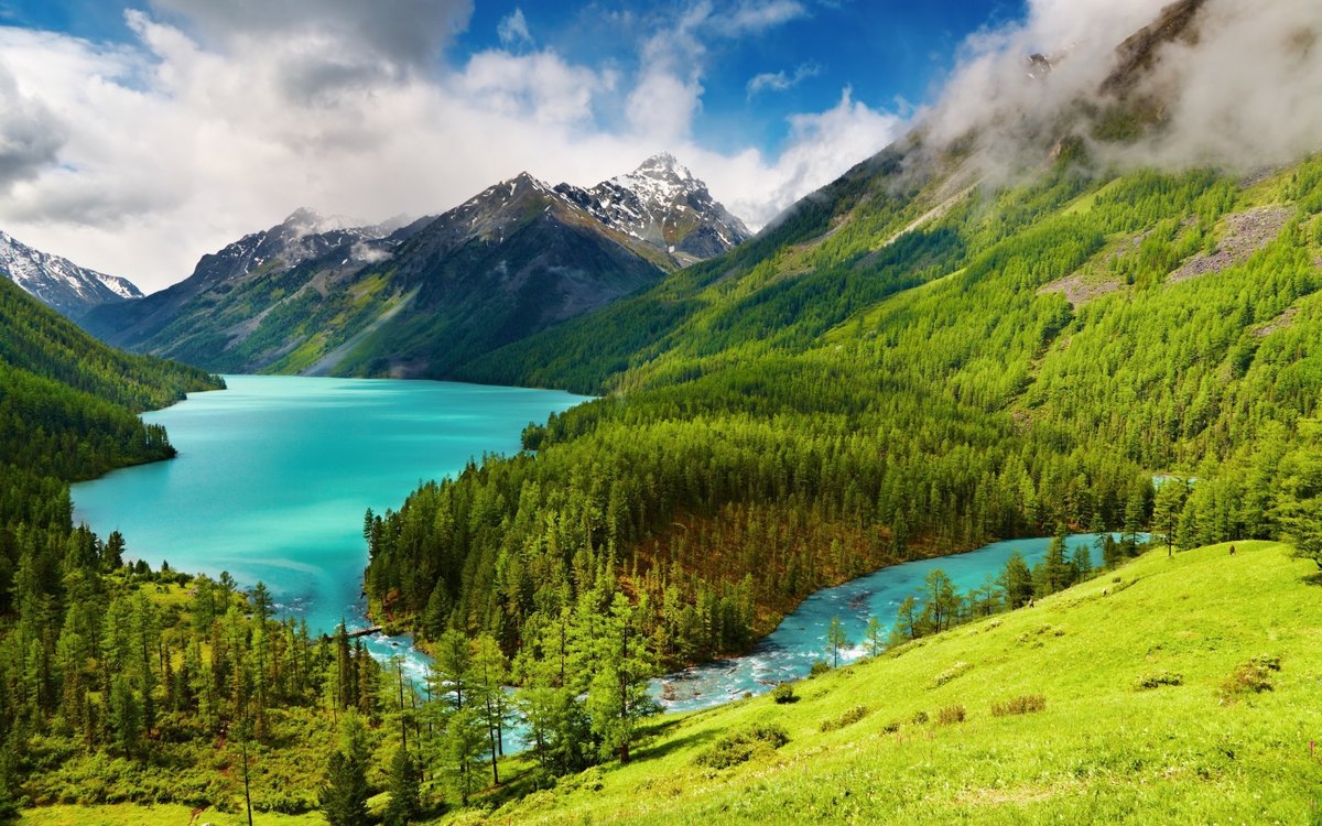 кучерлинское озеро алтай фото