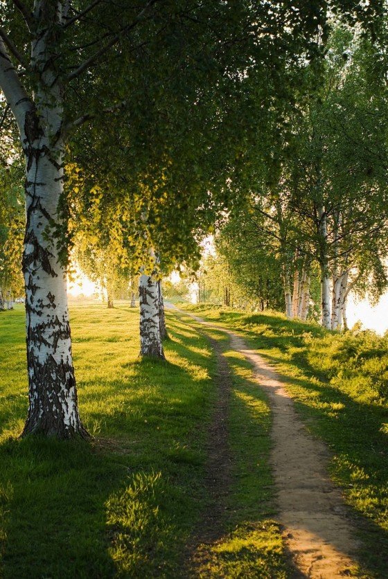 пейзажи летние фото