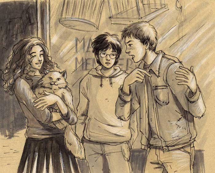 Harry potter fanfiction harry saves the dursleys