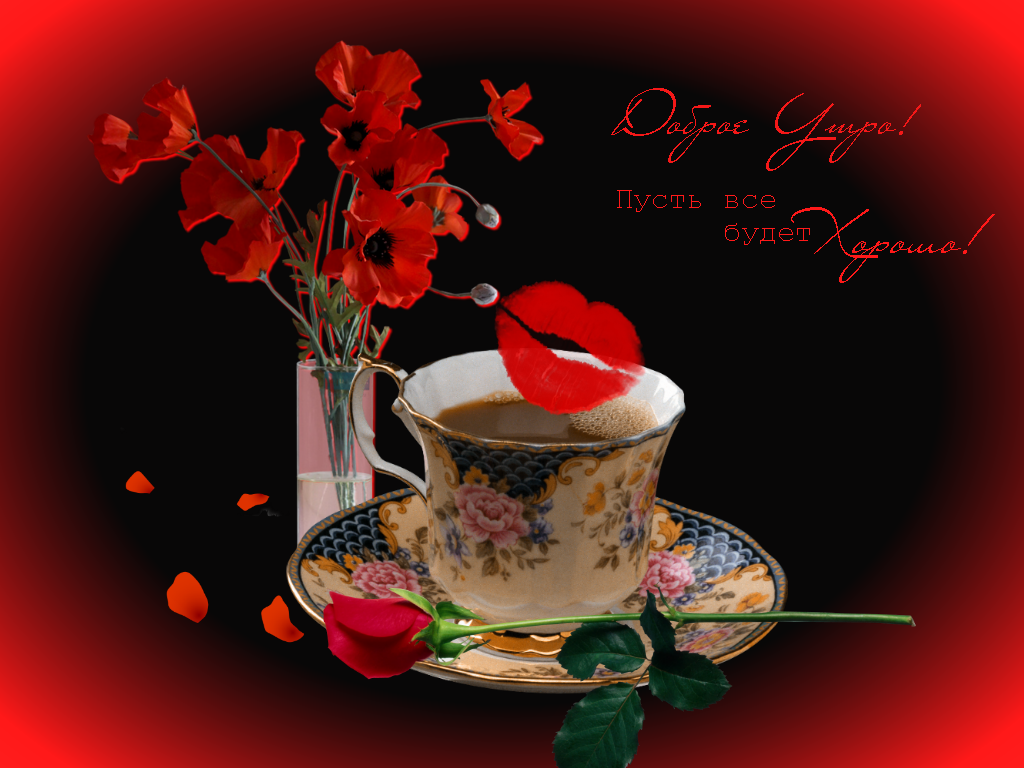 ����, ����������� �������� � ������ �����