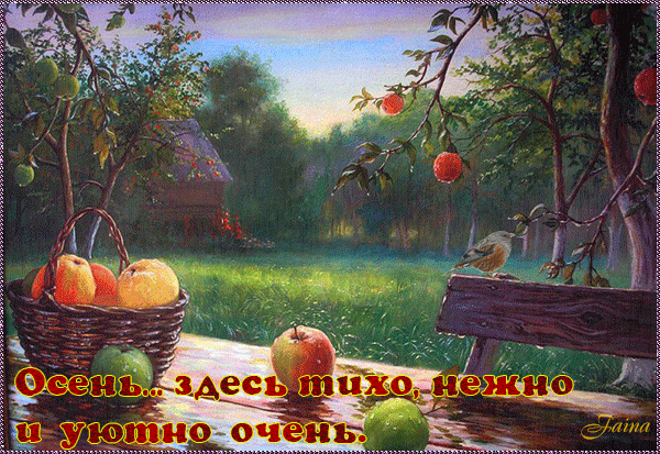 Осень, дождь, корзина с яблоками