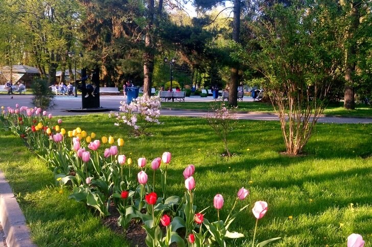 парк эмирган в стамбуле фото