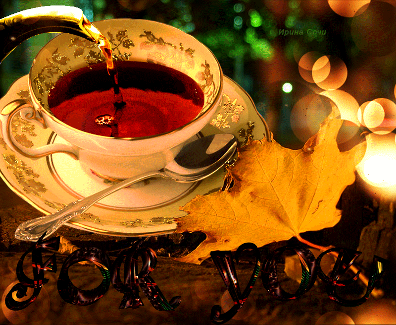 �������� ����� ���, ������� ��������