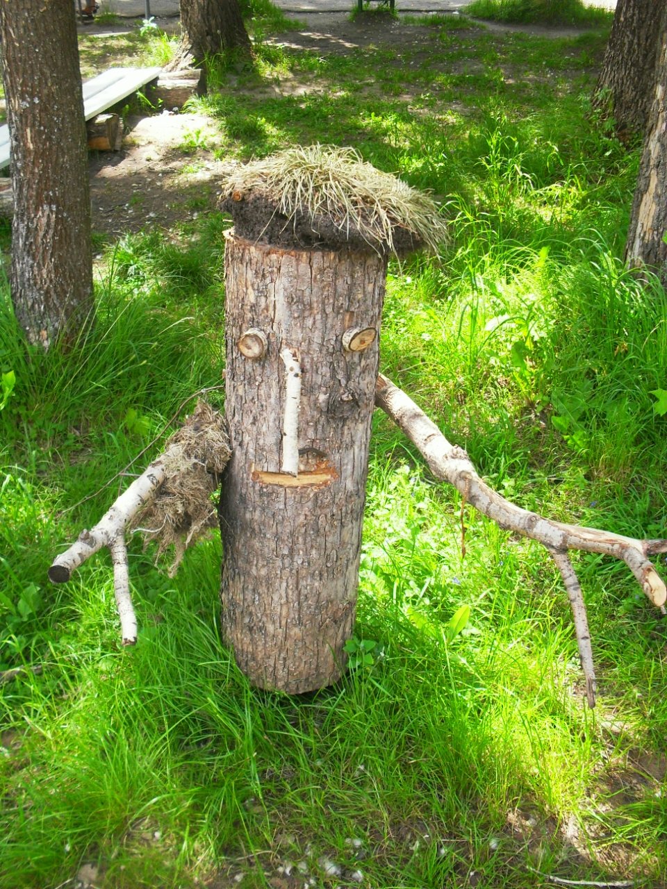 колода борть для пчел фото
