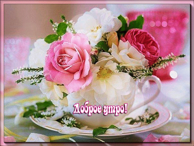 https://avatars.mds.yandex.net/get-pdb/1101614/9c58e57c-8763-4d07-a999-d9ebe8112b5c/orig