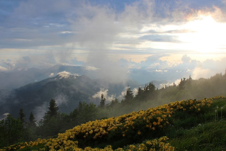 гора семиглавая фото