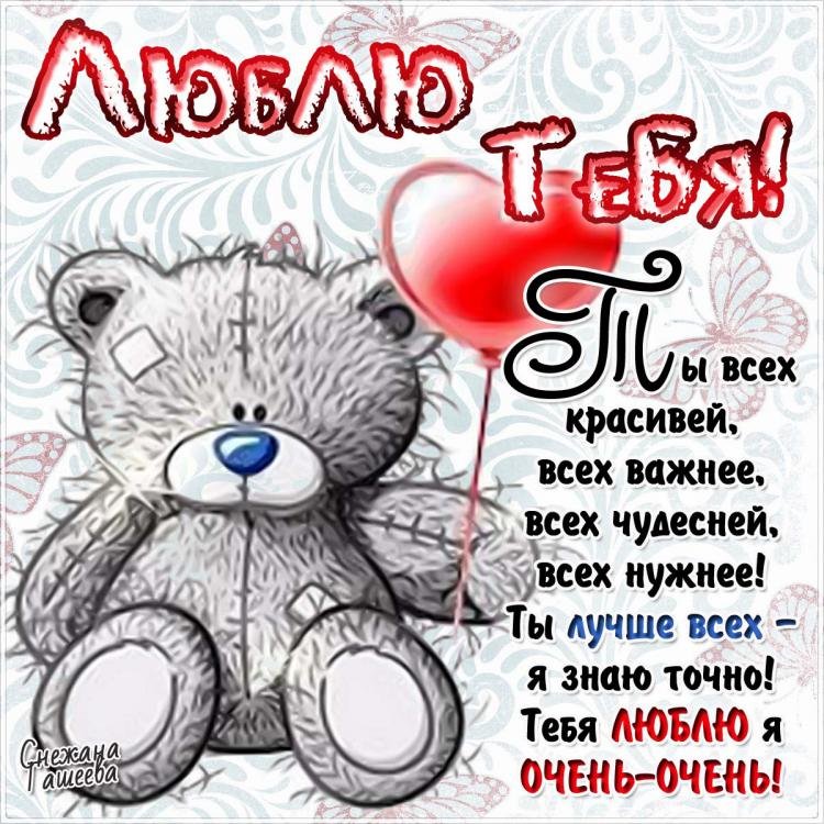 ���� ��������, �������� � ����������� � ��������