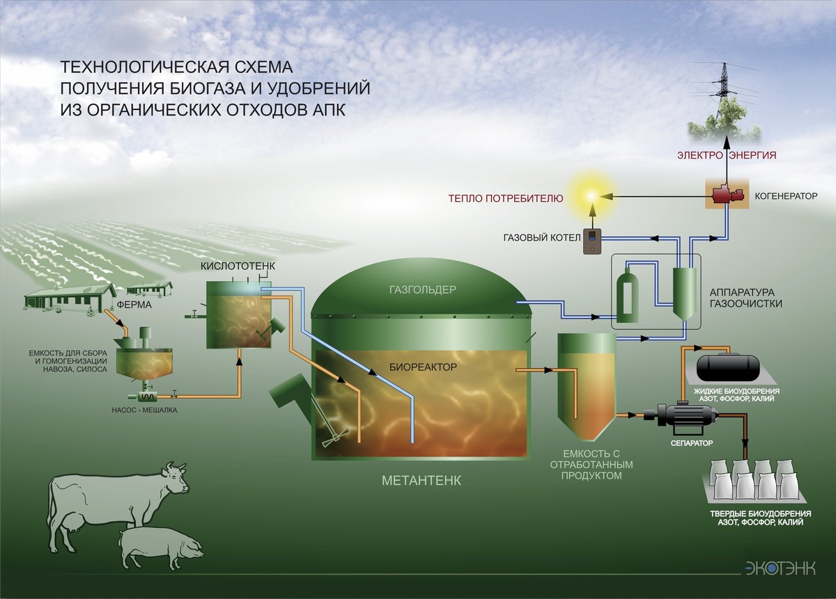 производство биогаза из отходов животноводства