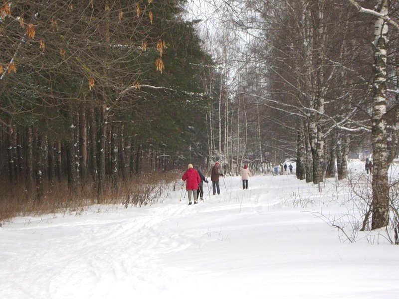 фото лыжня в парке фото