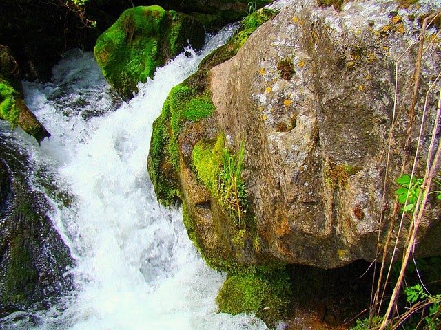 курджипское ущелье водопад исиченко фото