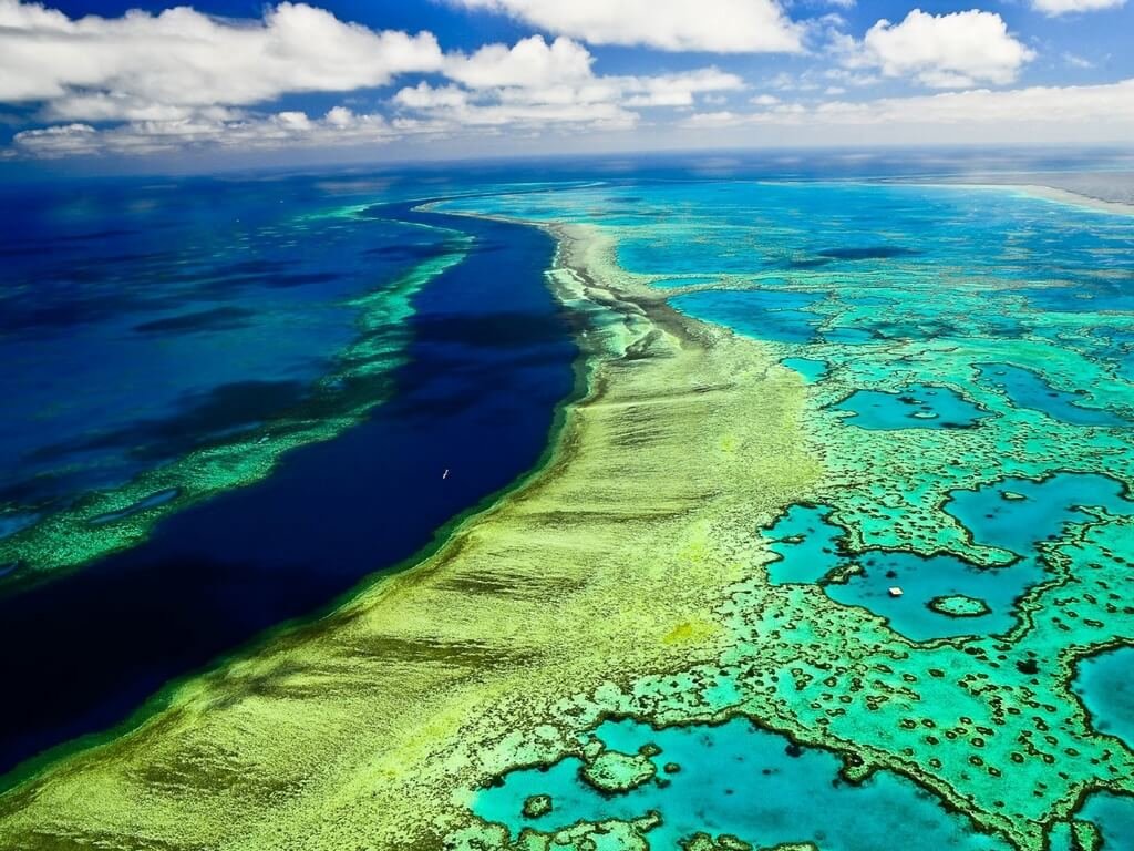 большой барьерный риф австралия фото