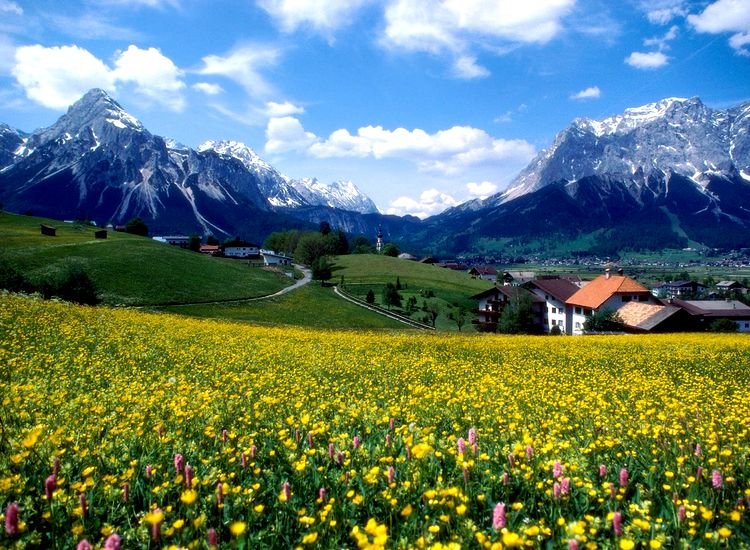 альпийские луга швейцария фото