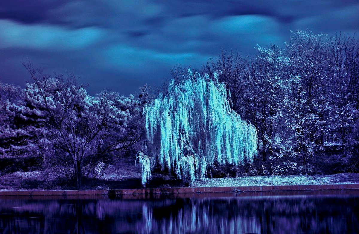 природа в синих тонах фото