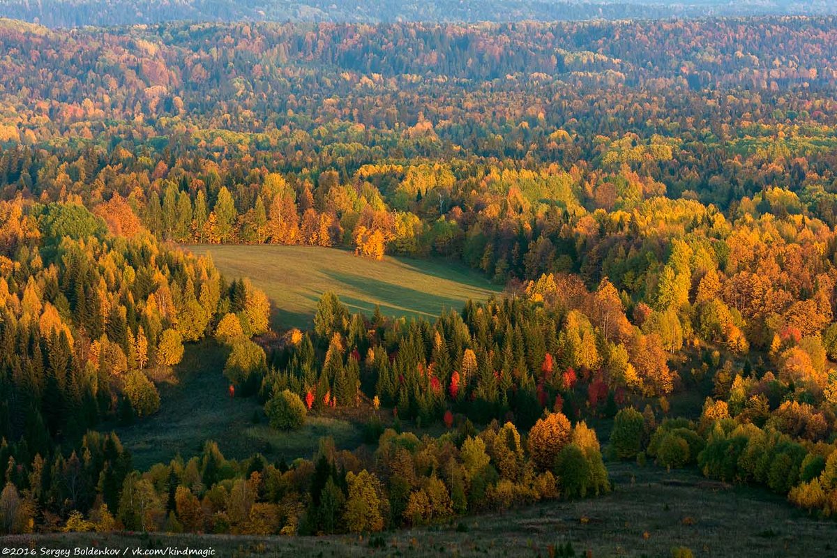 ларинский заказник томск фото