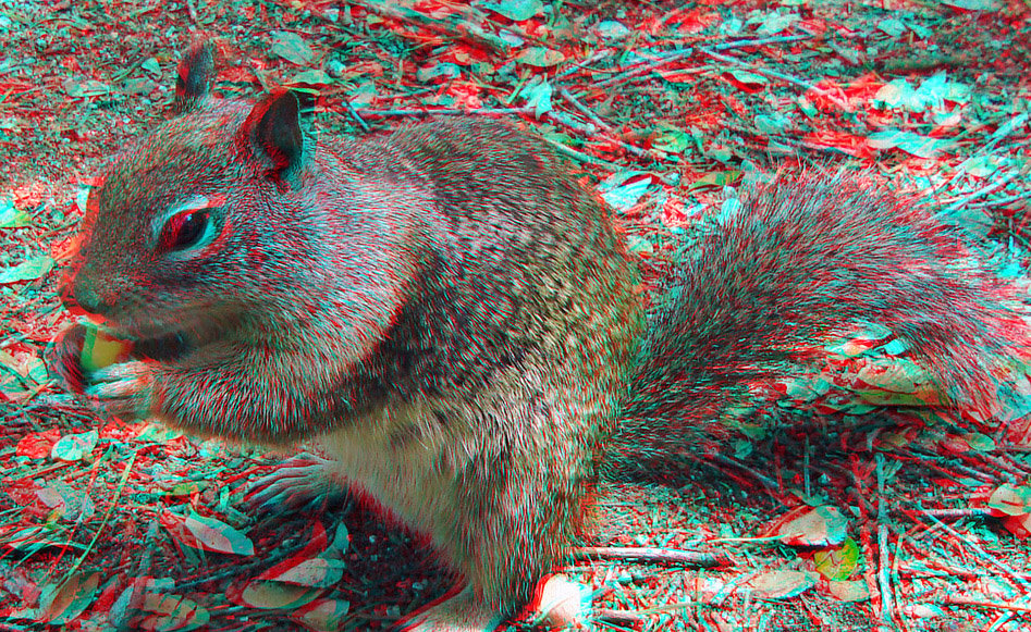 ��� ����� 3� ��������