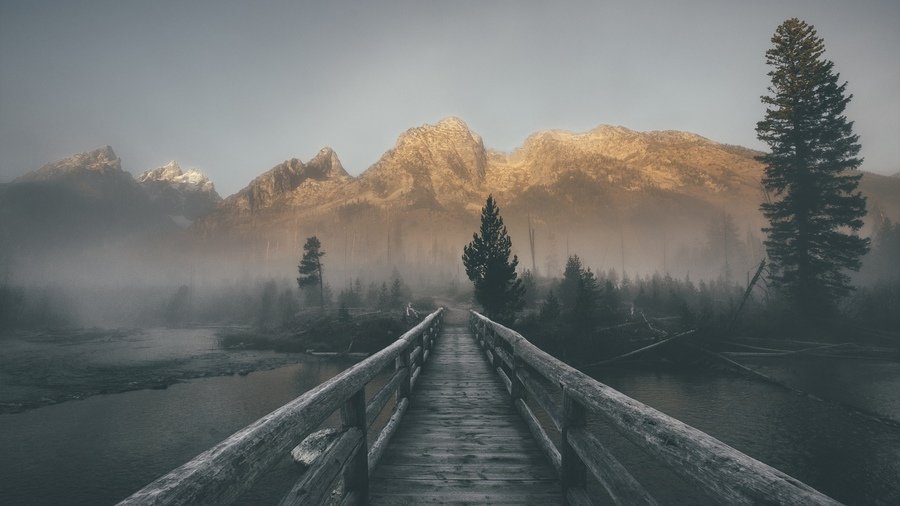 пейзаж туман фото