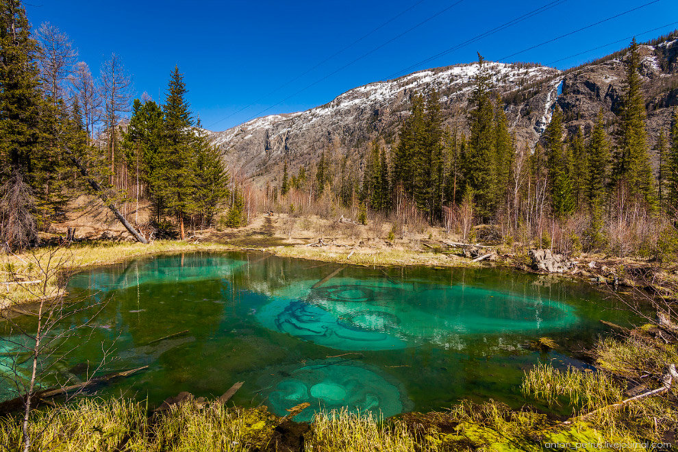 гейзерное озеро алтай фото