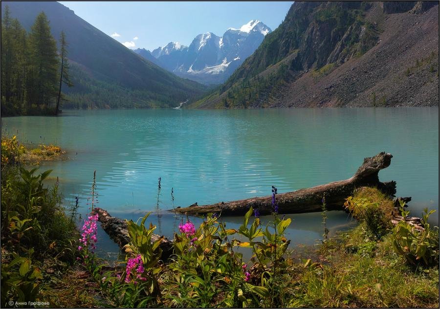 кучерлинское озеро алтай фото