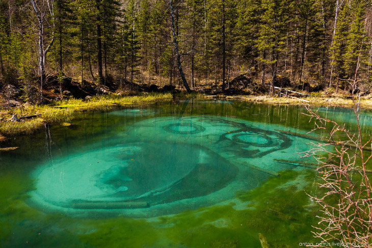 гейзерное озеро алтай фото